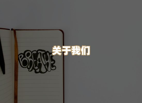 关于昭瑞电子书