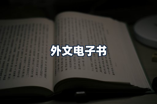 外文电子书